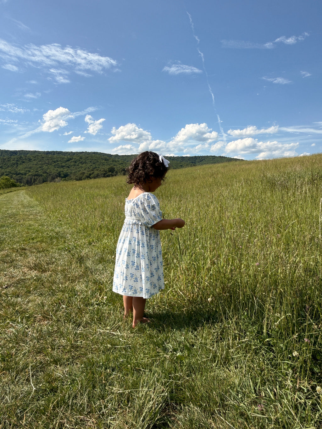 Little Blue Blooms- Bamboo Dress