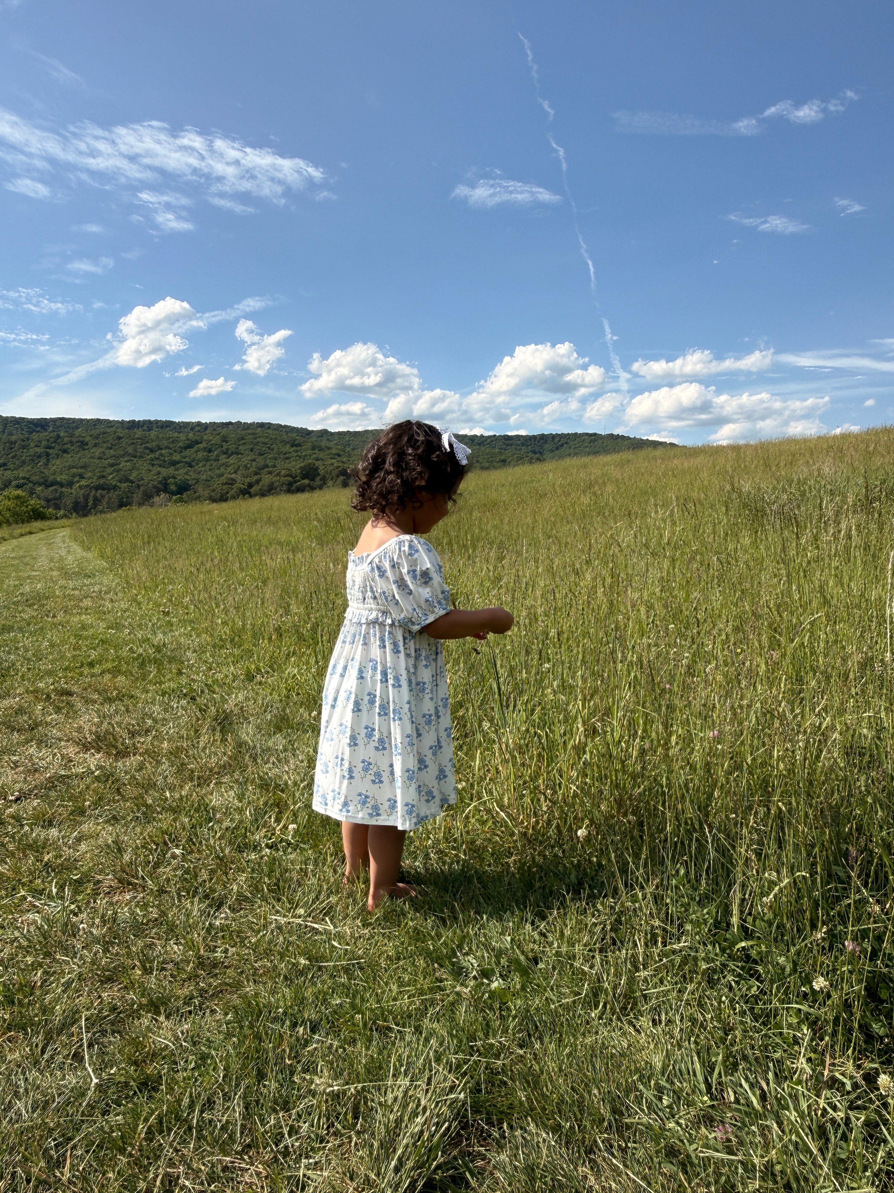 Little Blue Blooms- Bamboo Dress