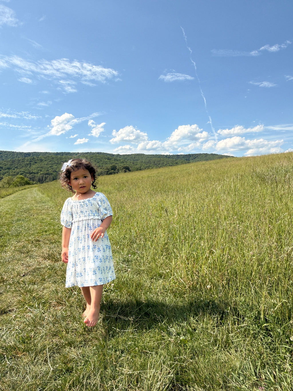 Little Blue Blooms- Bamboo Dress