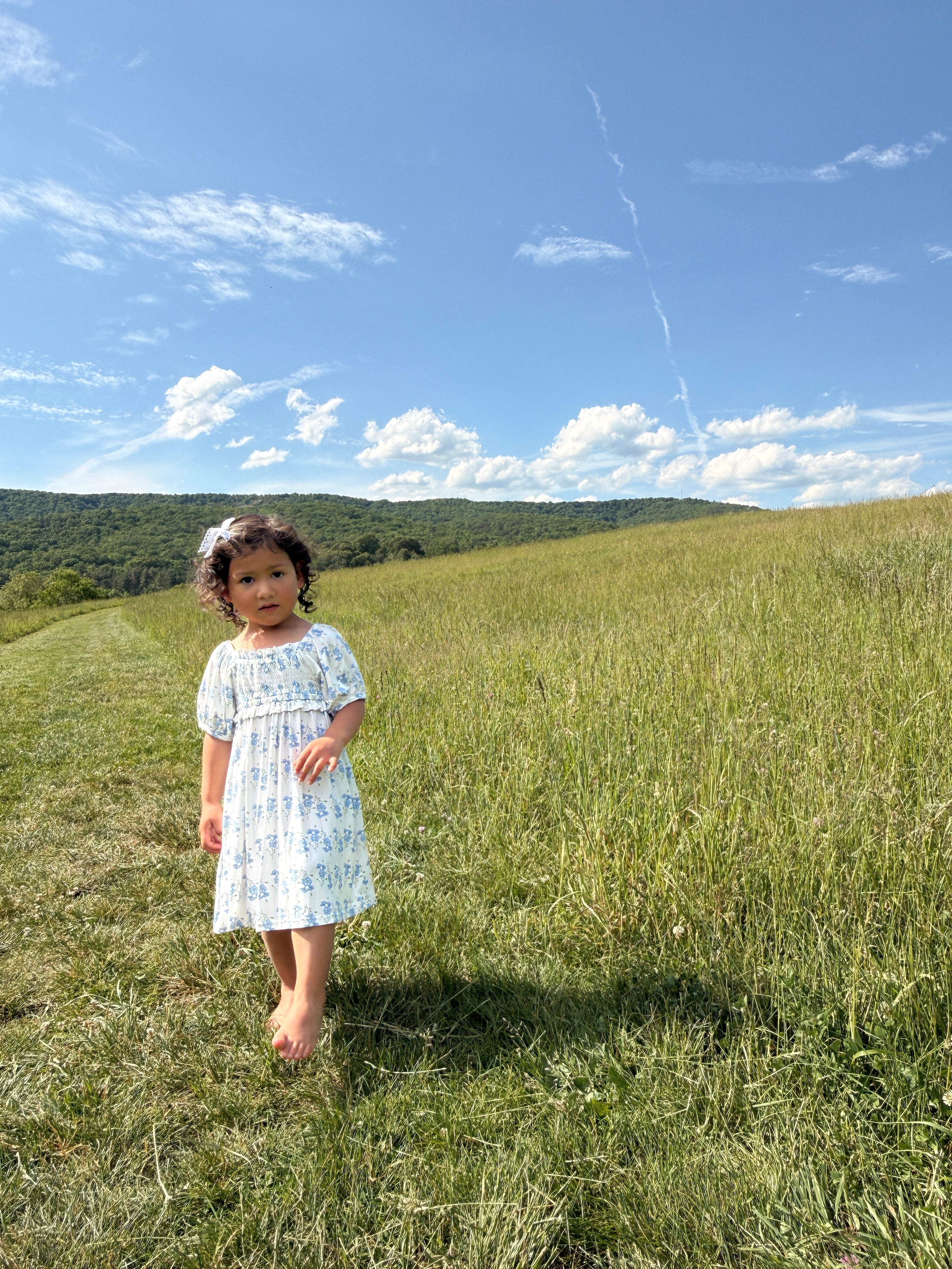 Little Blue Blooms- Bamboo Dress