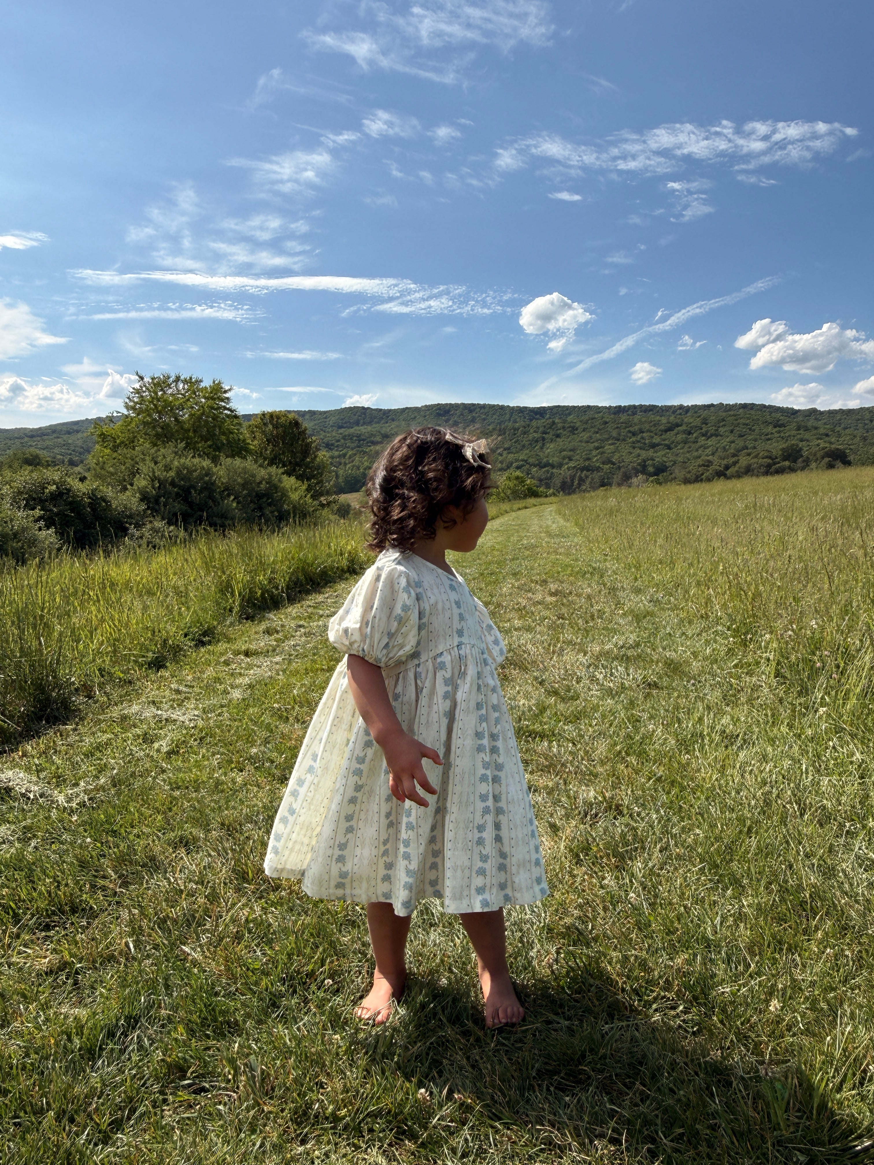 Harbor Bloom-Linen Dress