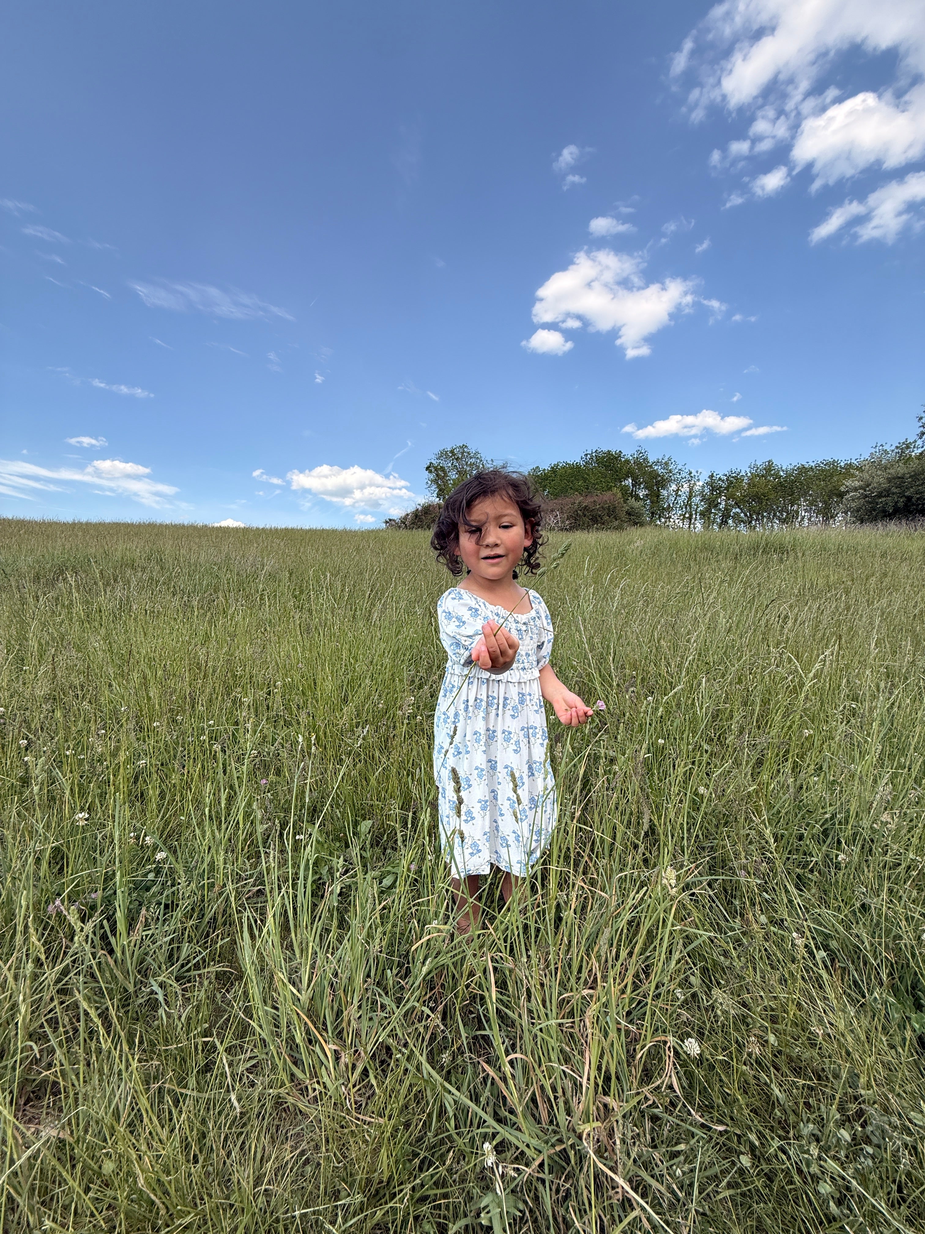 Little Blue Blooms- Bamboo Dress