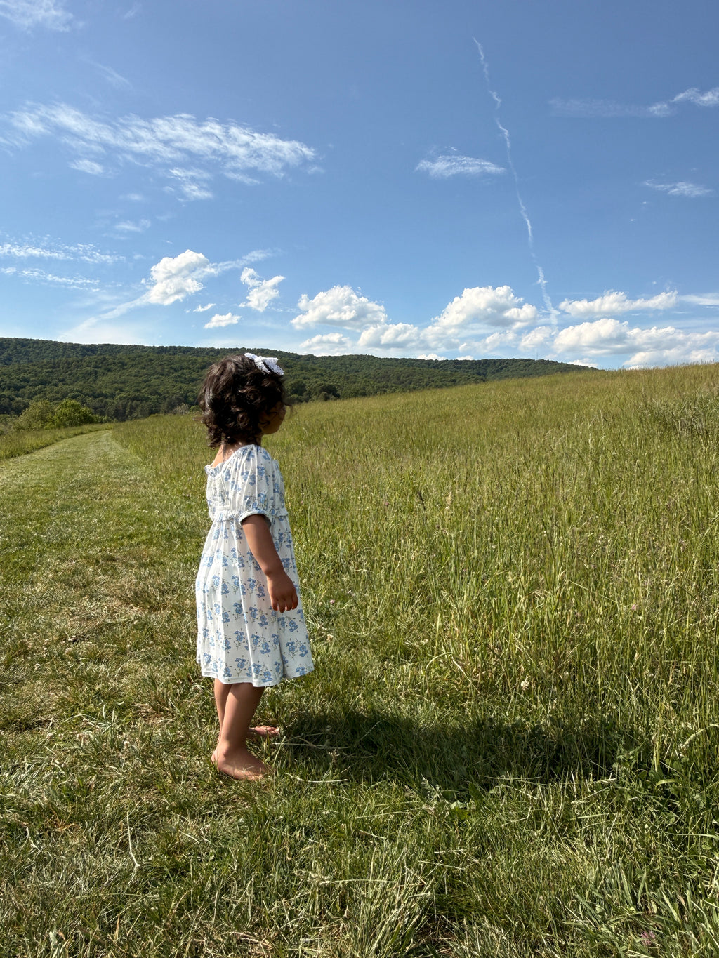 Little Blue Blooms- Bamboo Dress